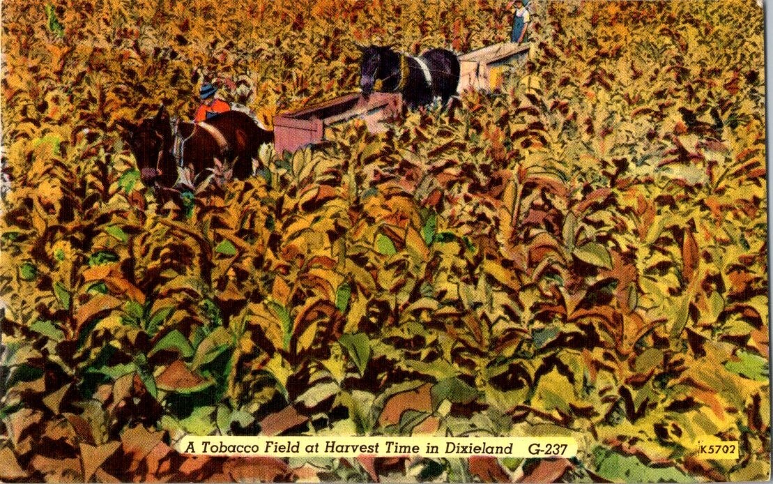 carter hall tobacco review Carter Hall Pipe Tobacco