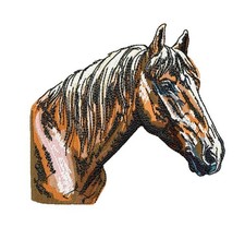 MASCHINENSTICKMOTIVE USB - PFERDE SAMMLUNG 5X7 PONY STUTE HENGST