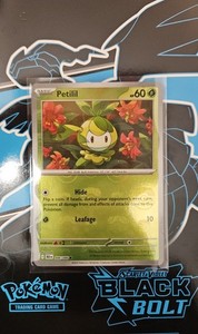 Petilil Master Ball 006/086 Pokemon Black Bolt