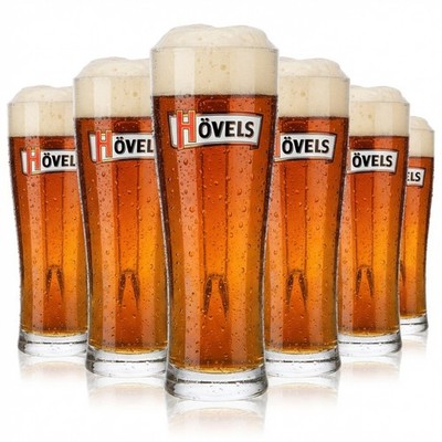 6x Hövels Bier Glas 0,3l Gläser Bierkrug Bierseidel Bierhumpen konisch Aspen