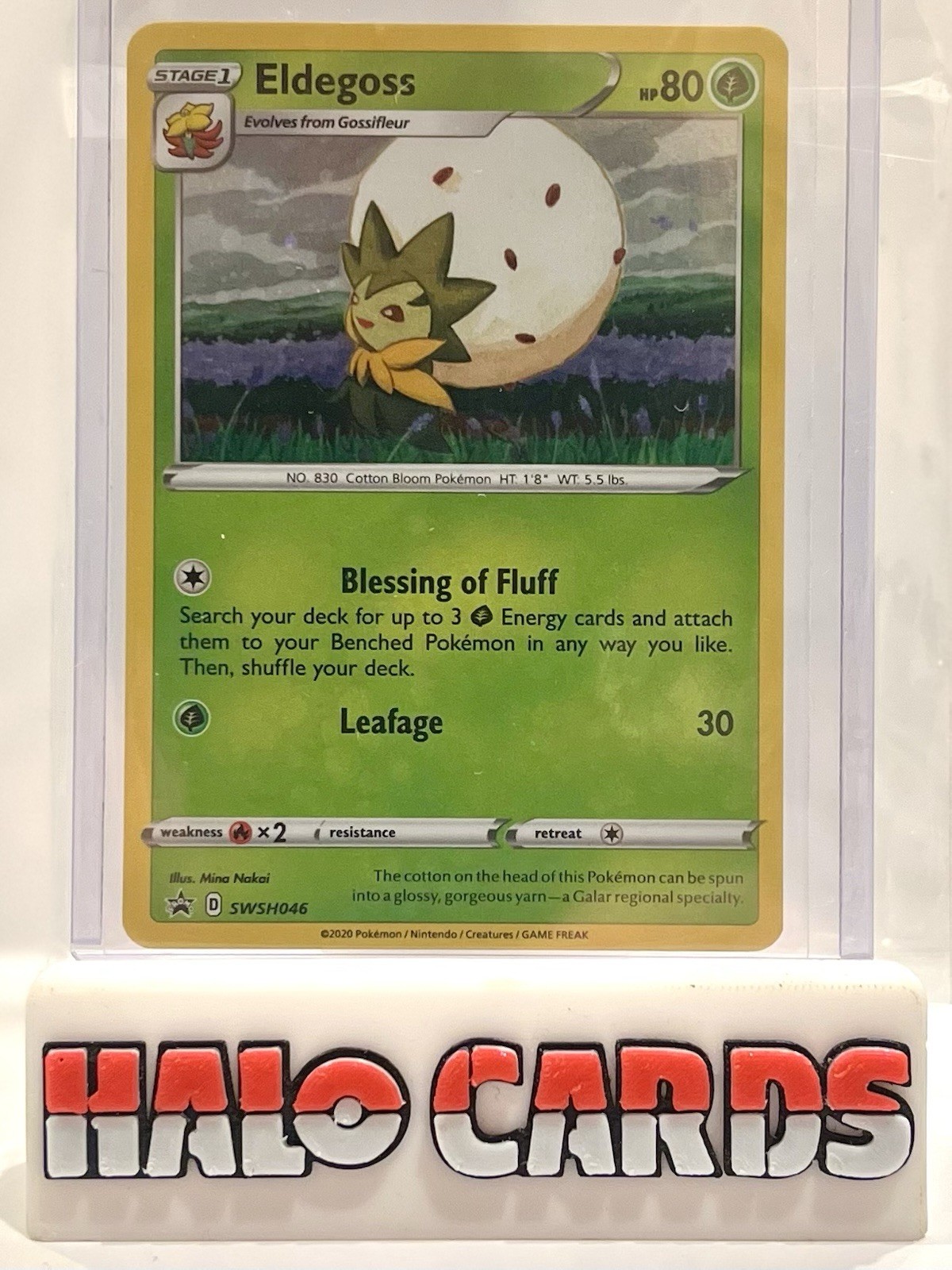 PACK FRESH Eldegoss SWSH046 Holo Black Star Champions Path Promo Pokemon MINT