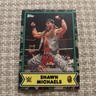 2025 Topps WWE x Bape Shawn Michaels Camo Base Card #20