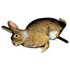 1PC Bunny Garden Acrylic Lawn Bunny Lawn Sign Garden Stake US