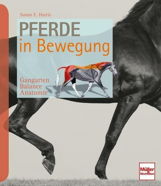 Thumbnail - Pferde In Bewegung | Buch | 9783275020300