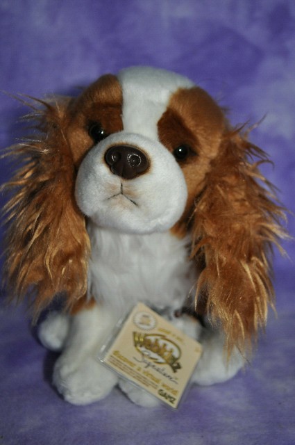 Webkinz Signature KING CHARLES COCKER SPANIEL ~Brand New With Tag ~WKS1033~ for sale online