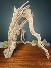 16 Manzanita Driftwood Branch, Aquarium, Terrarium, Aquascape ,Home Decor