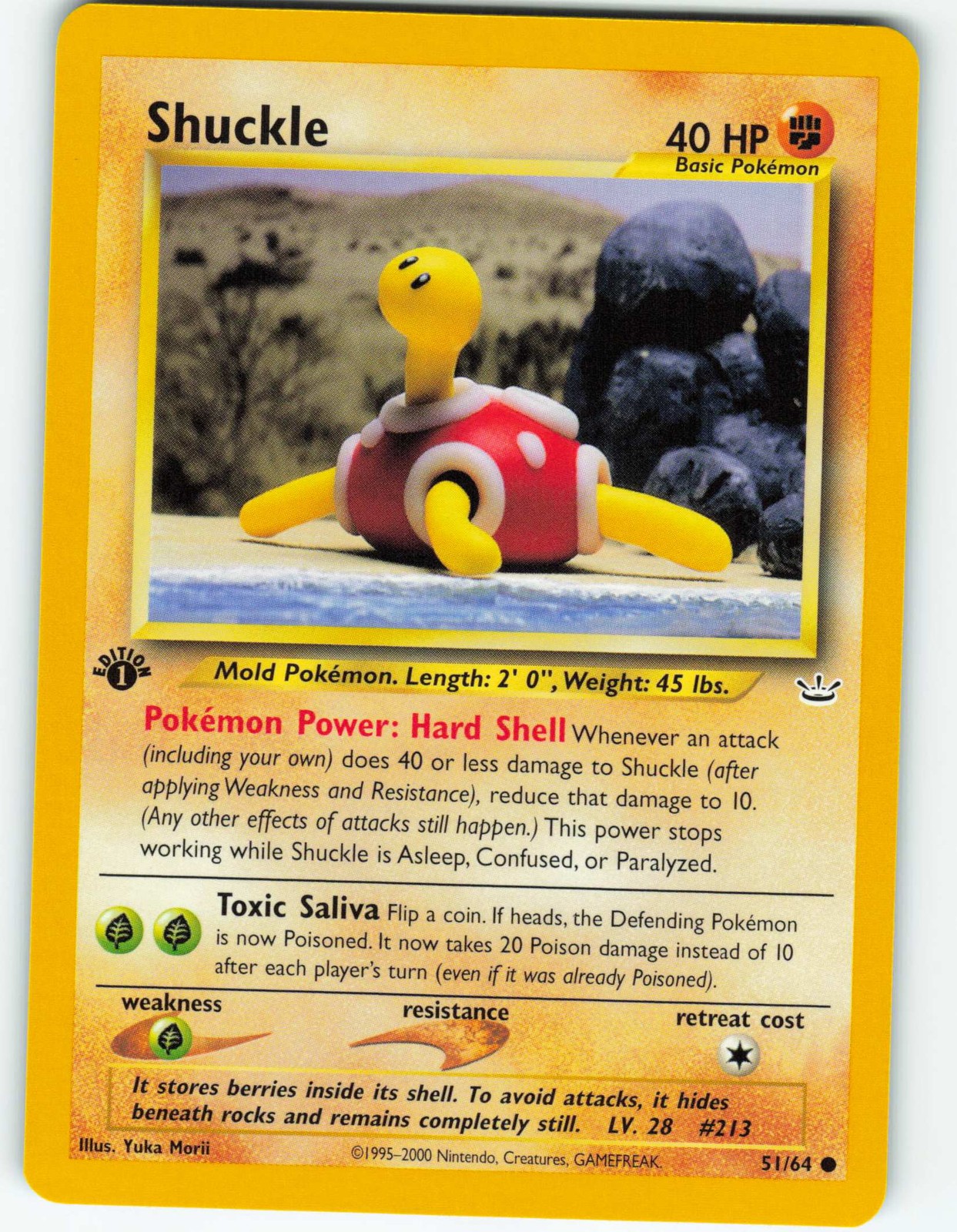 Shuckle - 1st Edition - 51/64 Neo Revelation - Pokémon TCG - 2001