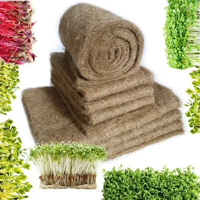 100% Natural Growing Mat Media Microgreens Wheatgrass Sprout Sprouting Seeds