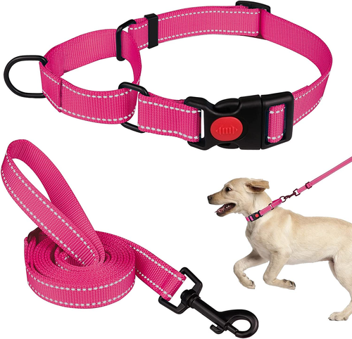 ebay martingale dog collars