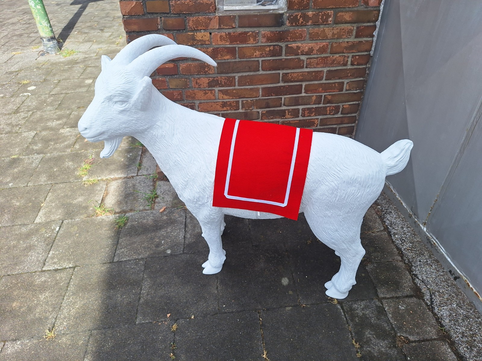 Bild 1 von 5