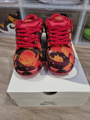 Size 9 - Nike SB Dunk Low The Wizard of Oz Poppy Field. FZ1291-600. Brand new - Picture 3 of 7