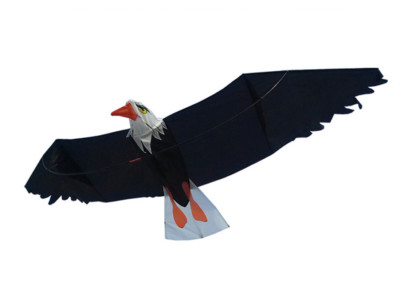 Kite-Flying Large 3D Eagle Power Bearing Reel String Max. 200M 