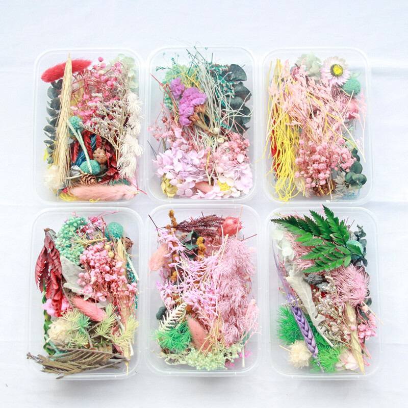 DIY Dried Flowers Bulk Mixed Natural Plants Handmade Handicraft Supplies Decor-image