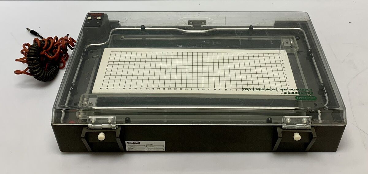 Bio-Rad Bio-Phoresis Horizontal Electrophoresis Cell | eBay Bio-Rad Bio-Phoresis Horizontal Electrophoresis Cell | eBay