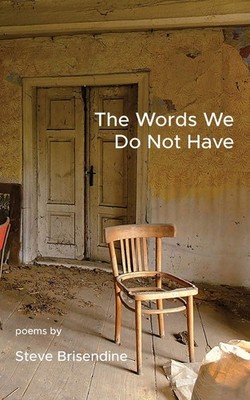 Steve Brisendine The Words We Do Not Have (Paperback) (UK IMPORT)