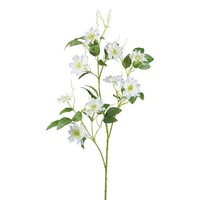 artplants KüNstlicher Zweig Clematis Zolme, Weiß, 115Cm