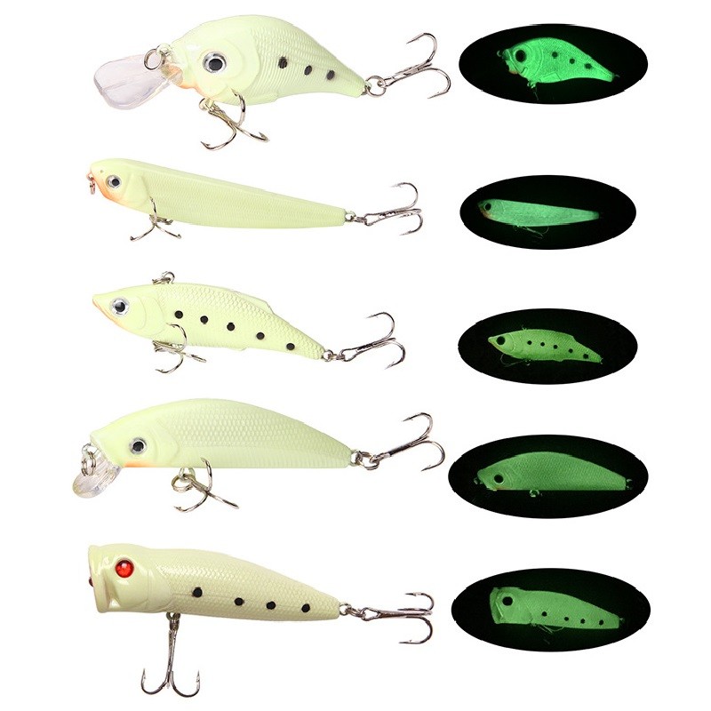 5pcs Minnow Crankbait Luminous Fishing Lures Set with Box Glow Fishing Bait