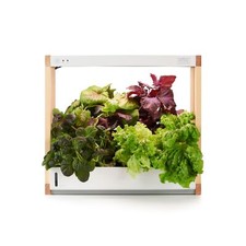 Rise Gardens Personal Hydroponic Indoor Garden Kit with LED Grow Light, Count...