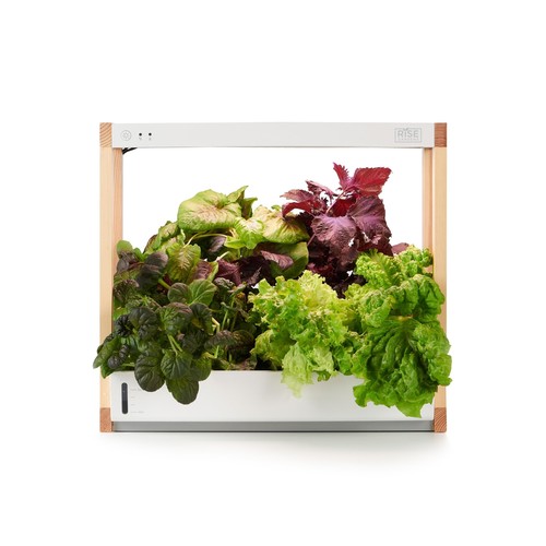 Rise Gardens Personal Hydroponic Indoor Garden Kit with LED Grow Light, Count... - Picture 1 of 8