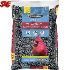 Pennington Select Black Oil Sunflower Seed Wild Bird Dry Feed, 40 lb. Bag