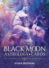 Black Moon Oracle Tarot Cards Fortune Teller Gypsy Witch Pagan Salem Magic Seer
