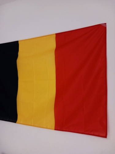 Belgian Flag - Photo 5/12
