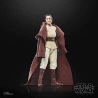 Star Wars Black Series Acolyte Jedi Master Indara Action Figure Hasbro