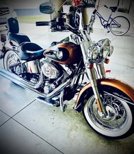 2008 Harley-Davidson Softail 