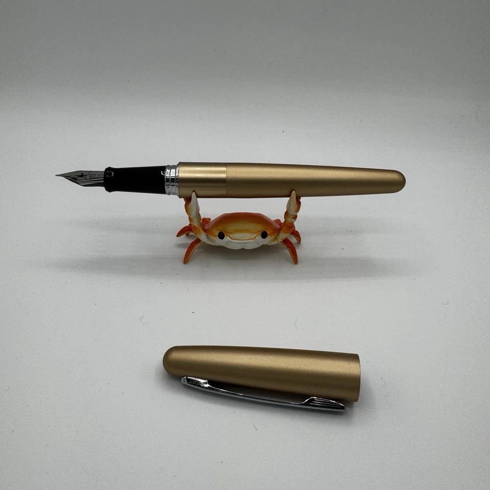 Pilot Cocoon Fountain Pen Fine Nib Titanium FCO-3SR-TI-F New Box Converter - Image 3 of 4