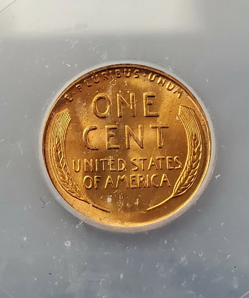 1954 S Lincoln Wheat Cent Penny Coin ICG MS67 RED RD Gem BU San Francisco 3 - Image 4 of 4