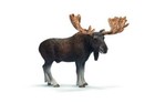 Moose Bull Schleich Wild Life - Model 14619
