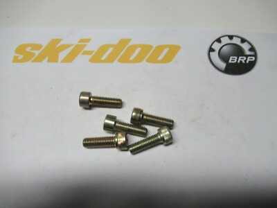  BRP/Ski-Doo/Can-Am 205082544 M8x25 Socket Screw O.E.M. N.O.S. QTY 1