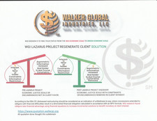 LAZARUS PROJECT REGENERATED CATALOGUED BUSINESS INTEREST PROVIDED BY WGI, LLC