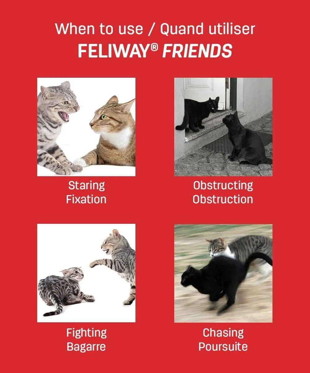 Diffuseur Feliway Friends