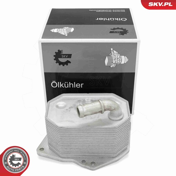 Esen Skv ÖLküHler MotoröL 31SKV348 FüR Ford Ranger Tke Tdci 4X4-image