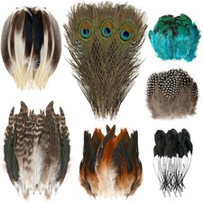 Natural Feathers 100 Pcs Pheasant Peacock Turkey Mix Halloween DIY Craft Decor