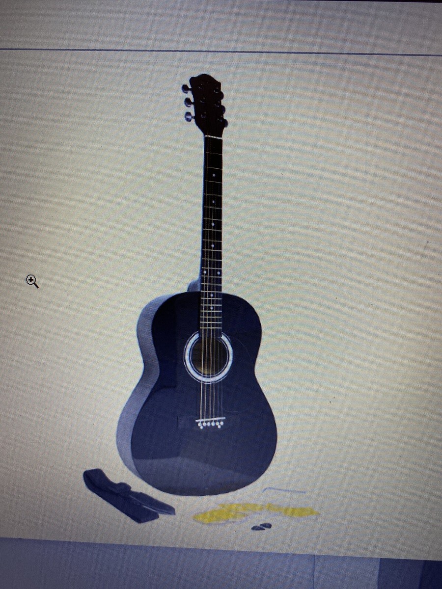 アコースティックギター promartin w-100-ts アコースティック
