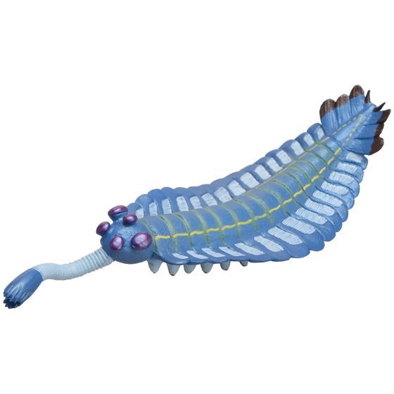 Official Favorite paleontology figure Opabinia soft model