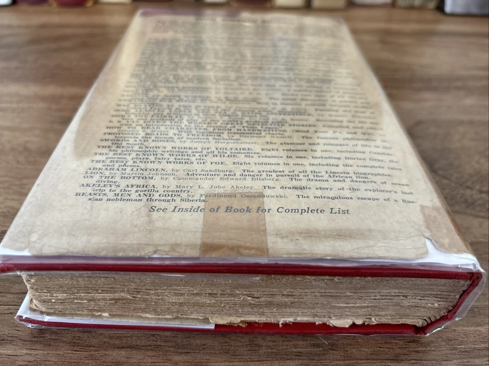 Lion: African Adventure with the King of Beasts- Martin Johnson 1931 1st ed. 5th Foto 4 de 4