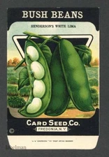 BUSH BEANS, Henderson's White Lima, Card Seed Company, Country Store, 072