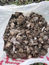 6 lbs Chicken Poop Manure Organic Natural Fertilizer 2.67 per gallon