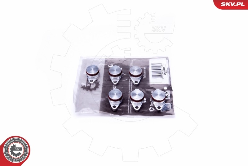 ESEN SKV 49SKV545 Repair Kit, intake manifold module for BMW
