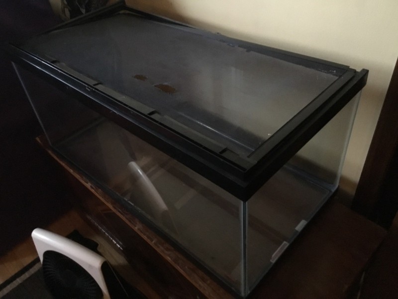 Rectangular Shape Glass Lizard Aquarium Tank Local pick up only