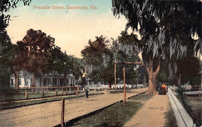 FL - 1909 RARE! Florida Franklin Street in Gainesville, FLA - Alachua County
