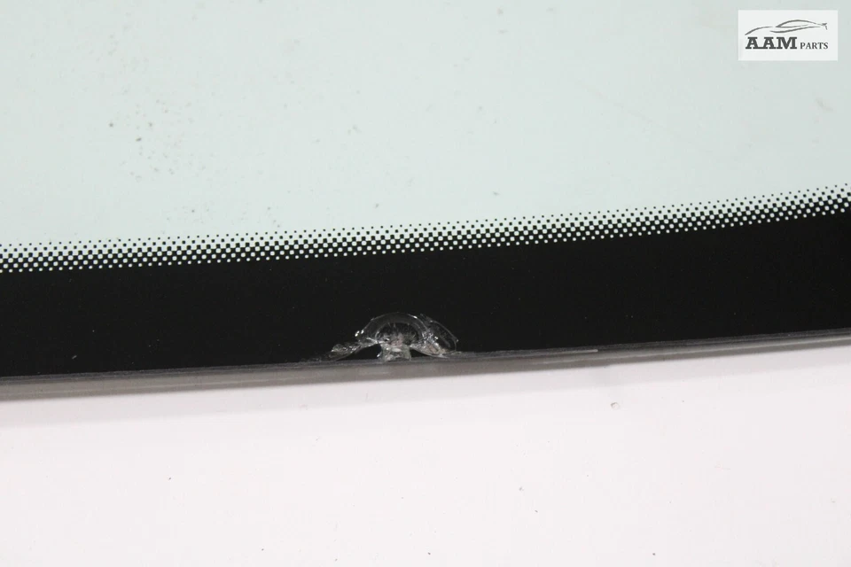 VOLKSWAGEN PASSAT 2016-2019 PARABRISAS DELANTERO VENTANA CRISTAL OEM Foto 3 de 4