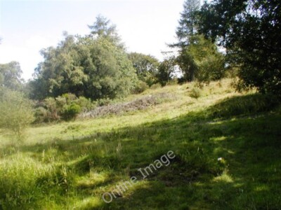 Photo 6x4 Kinnoull Hill Perth/NO1123 Somewhere close to the summit. c2009