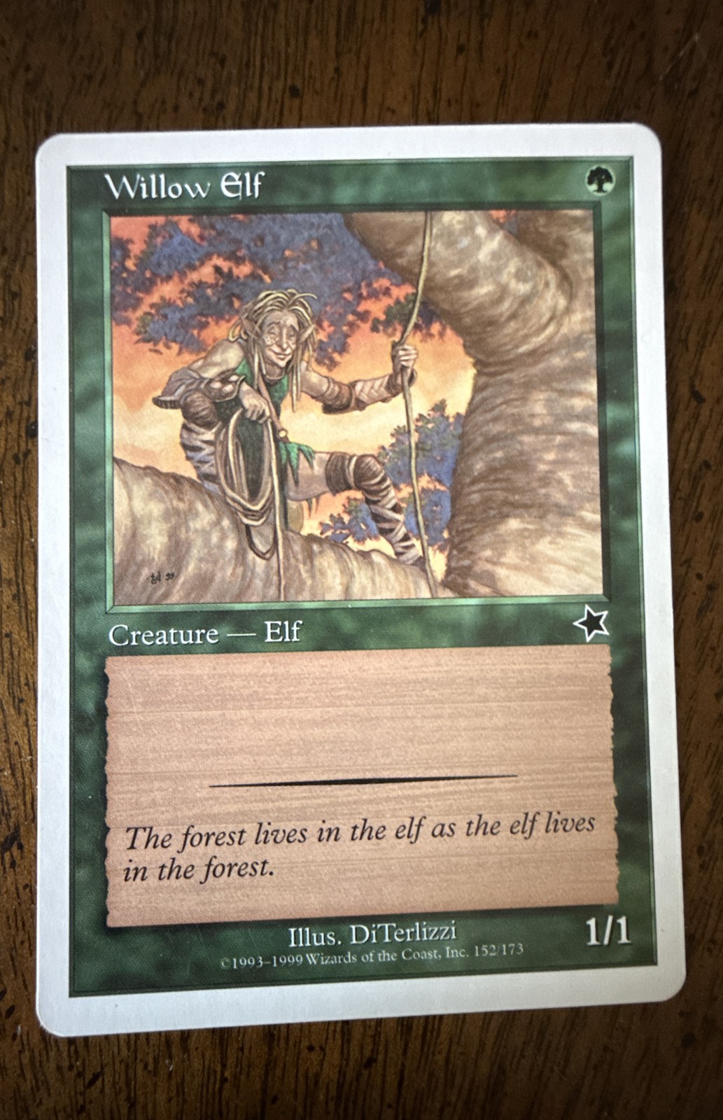 Willow Elf Starter 1999 Regular Magic The Gathering MTG M/ HP