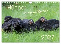 "Calendar 2027 · US Version · Chickens In Your Own Garden (Wall Calendar 2027 12\""