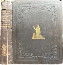 1854 Emmons Agriculture of New York  Vol. V - INSECTS - 47 HC INSECT PLATES