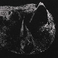 Demon Head - Viscera - Vinyl Record - G1398Z